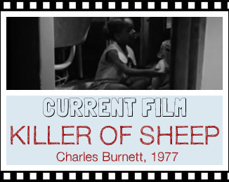 Current Film - Killer of Sheep
